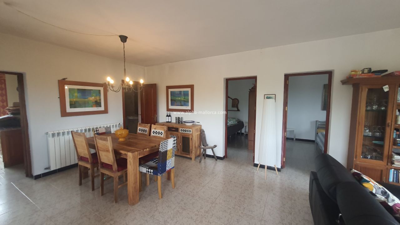 SANT JOAN (CENTRE OF THE ISLAND): Charming finca with pool, private well, guest apartment and 82 m2 shed