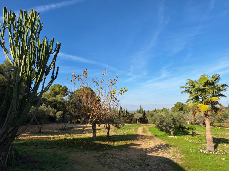 SANT JOAN (INSELMITTE): Charmante Finca mit Pool, eigenem Brunnen, Gästeapartment und 82m2-Schuppen