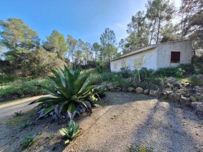 SANT JOAN (INSELMITTE): Charmante Finca mit Pool, eigenem Brunnen, Gästeapartment und 82m2-Schuppen