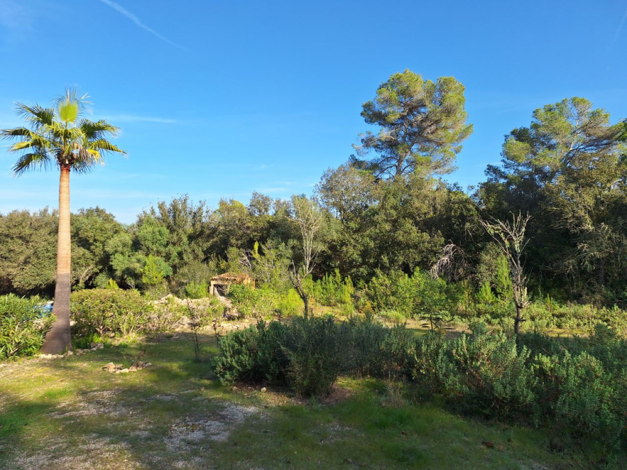 SANT JOAN (INSELMITTE): Charmante Finca mit Pool, eigenem Brunnen, Gästeapartment und 82m2-Schuppen