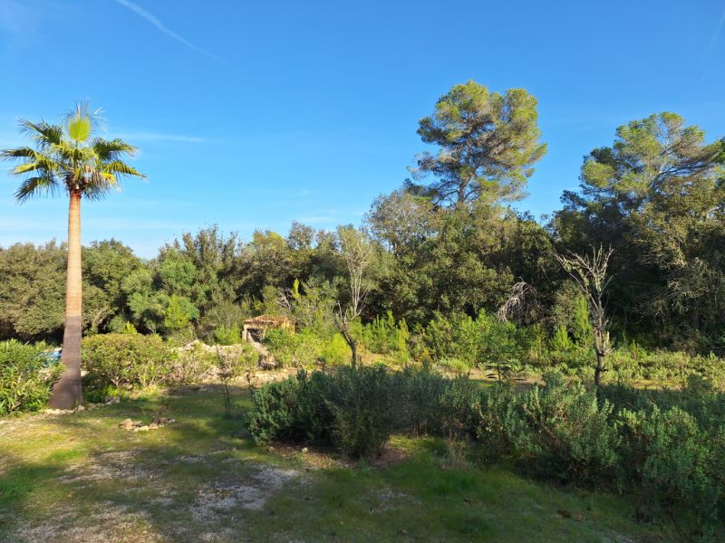 SANT JOAN (INSELMITTE): Charmante Finca mit Pool, eigenem Brunnen, Gästeapartment und 82m2-Schuppen