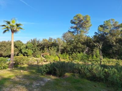 SANT JOAN (INSELMITTE): Charmante Finca mit Pool, eigenem Brunnen, Gästeapartment und 82m2-Schuppen