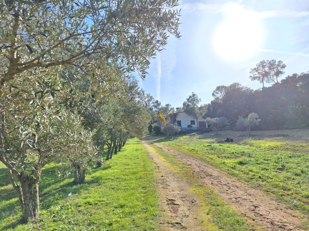 SANT JOAN (INSELMITTE): Charmante Finca mit Pool, eigenem Brunnen, Gästeapartment und 82m2-Schuppen