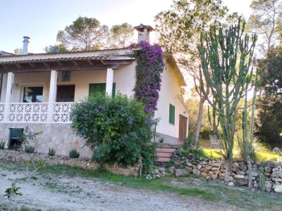 SANT JOAN (INSELMITTE): Charmante Finca mit Pool, eigenem Brunnen, Gästeapartment und 82m2-Schuppen