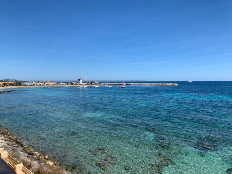 Santa Ponsa Neubau Luxuswohnungen