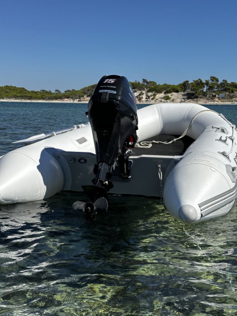 Inflatable boat Protender 3.20 with outboard engine 15 hp