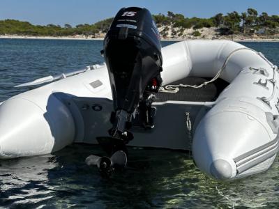 Inflatable boat Protender 3.20 with outboard engine 15 hp