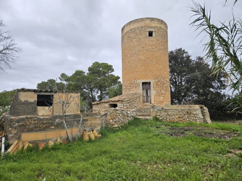 Beautiful finca with house to renovate