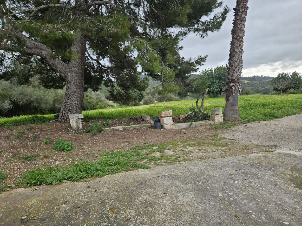 Beautiful finca with house to renovate