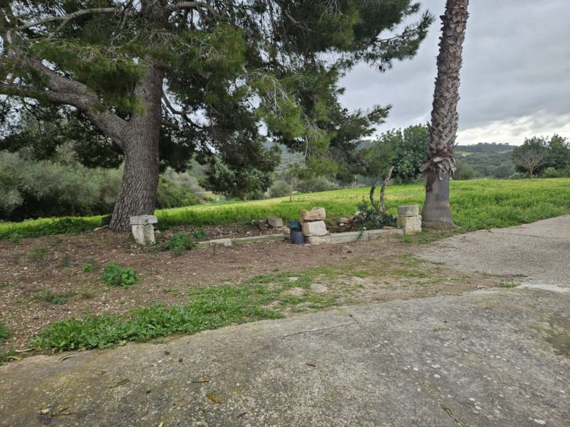 Beautiful finca with house to renovate