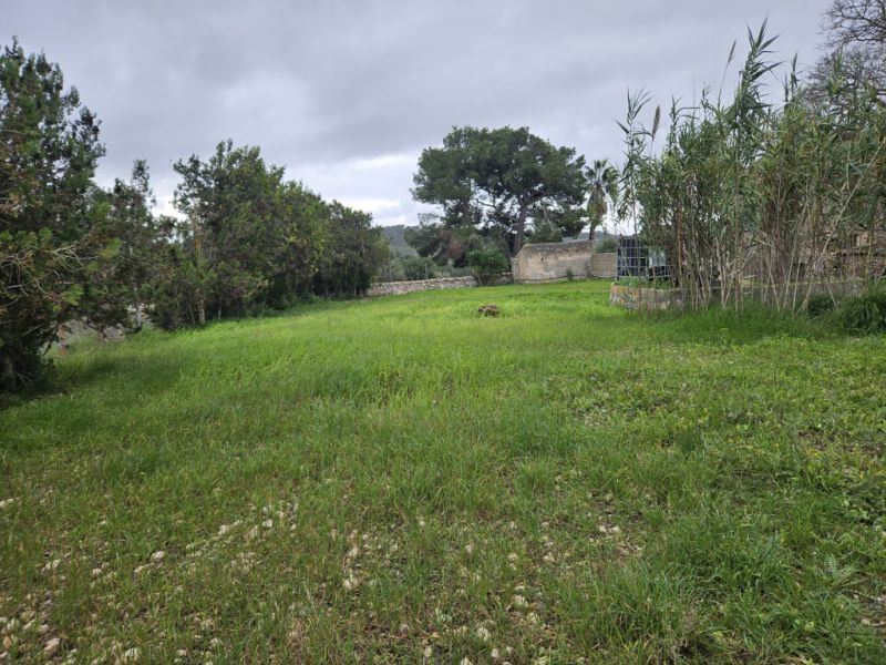 Beautiful finca with house to renovate