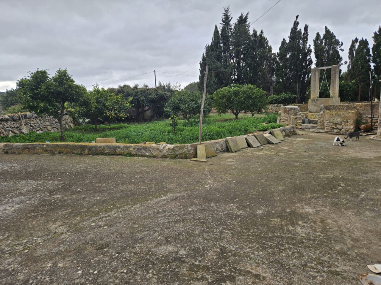 Beautiful finca with house to renovate