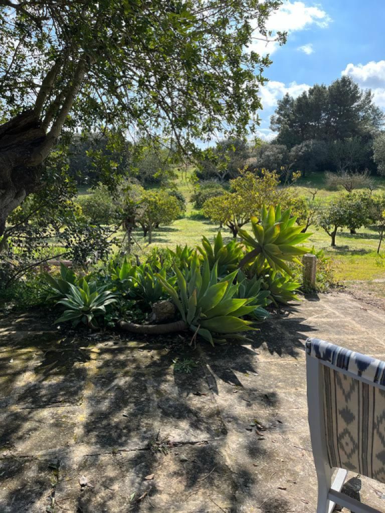 Schöne Finca zu Verkaufen nähe Manacor