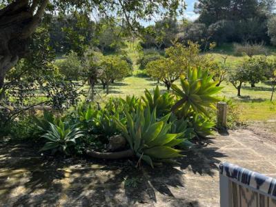 Schöne Finca zu Verkaufen nähe Manacor