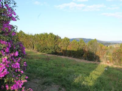 Beautiful rustic property for sale in Puntiró