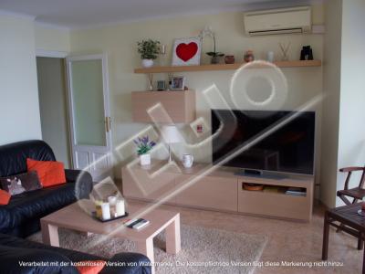 Schönes Apartment direkt am Hafen von Port de Alcudia