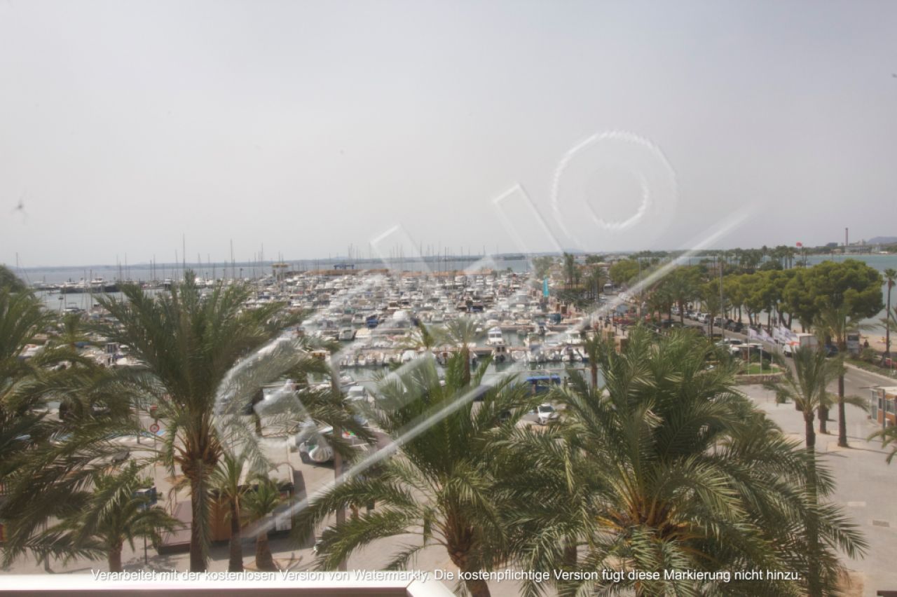 Bonito apartamento directamente en el puerto de Port de Alcudia