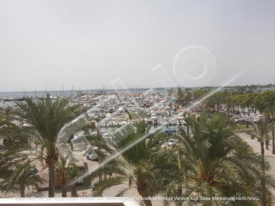 Bonito apartamento directamente en el puerto de Port de Alcudia