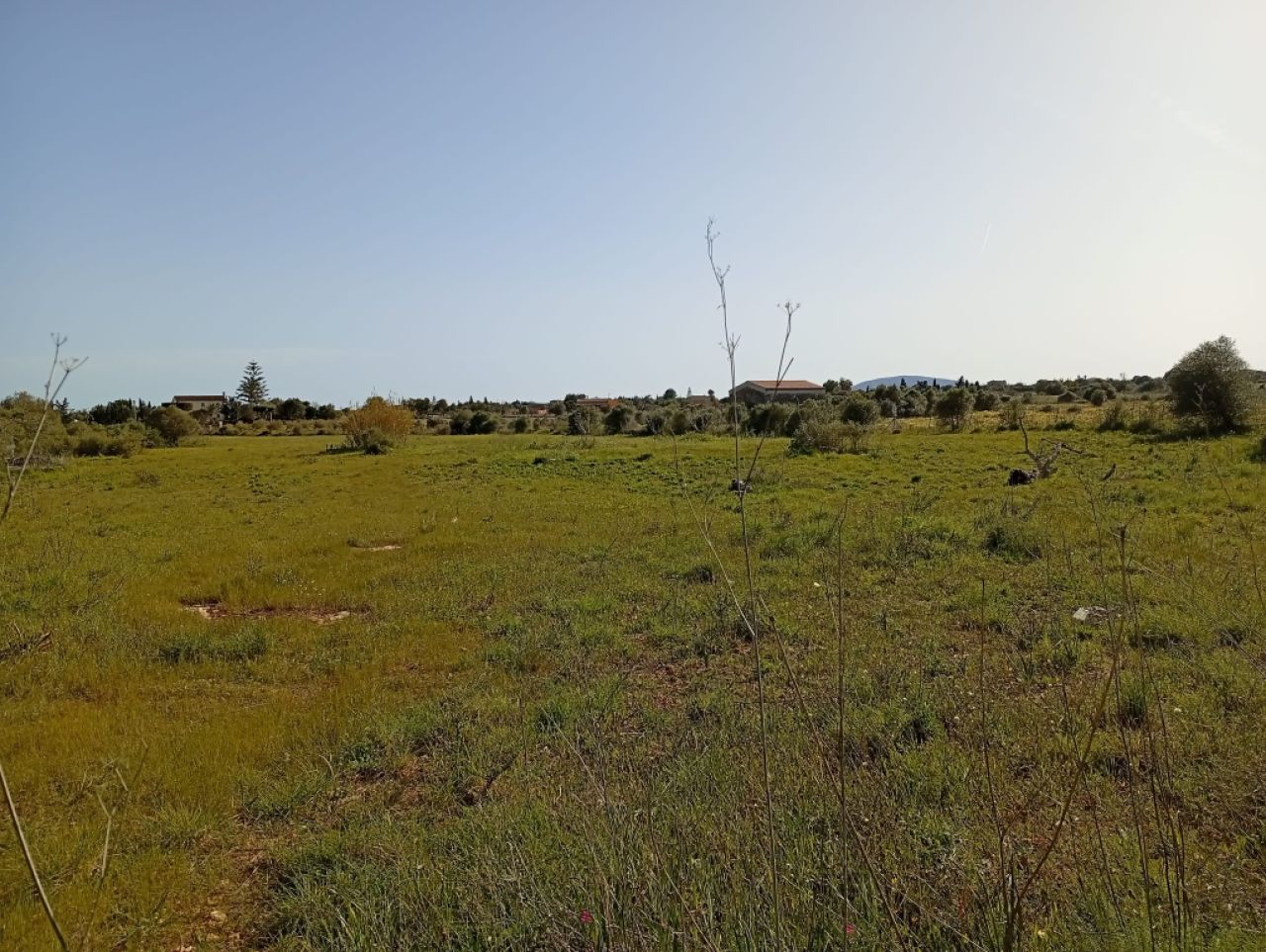Schönes Grundstück mit Projekt und Bau Lizenz Porto Cristo Son Marineta