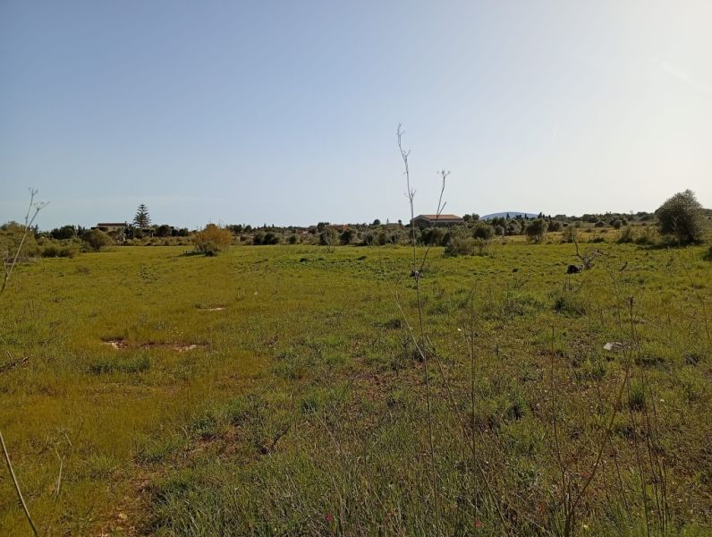 Schönes Grundstück mit Projekt und Bau Lizenz Porto Cristo Son Marineta