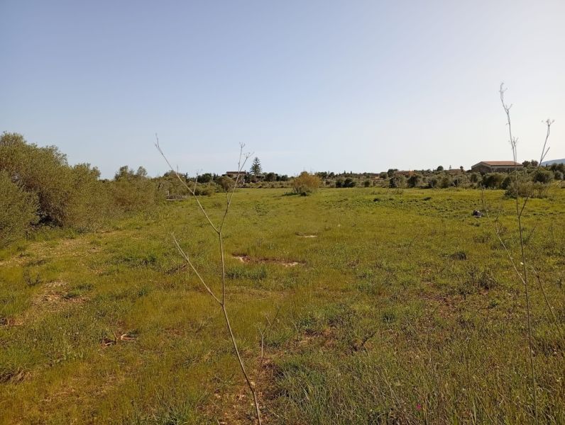 Schönes Grundstück mit Projekt und Bau Lizenz Porto Cristo Son Marineta