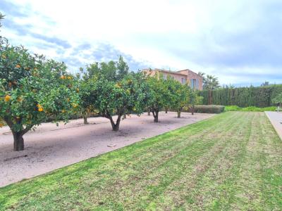 Schönes Haus in ländlicher Umgebung