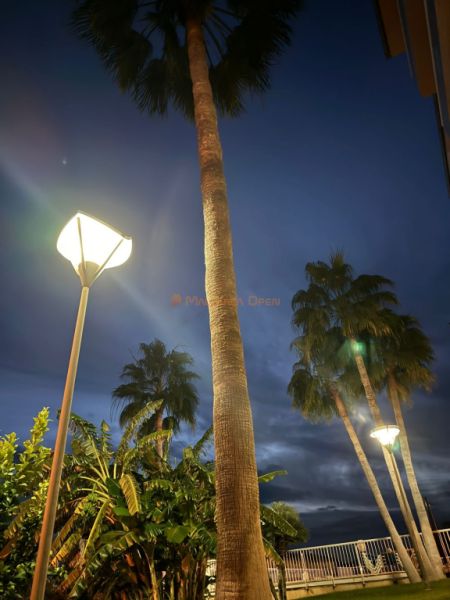 Schönes Penthouse in Calas de Mallorca