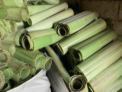 Schutzhüllen für Jungpflanzen/Bäume !