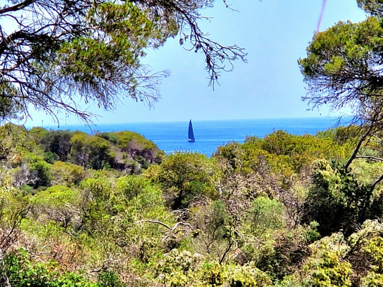 Sehr schönes Haus bei Santanyí / Cala Mondragó über den Winter zu vermtieten