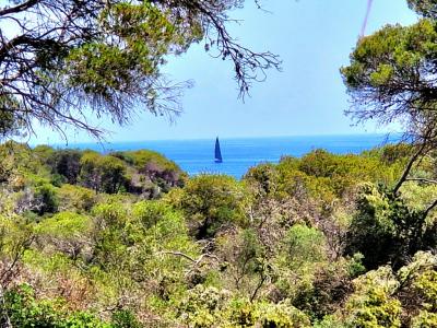 Sehr schönes Haus bei Santanyí / Cala Mondragó über den Winter zu vermtieten