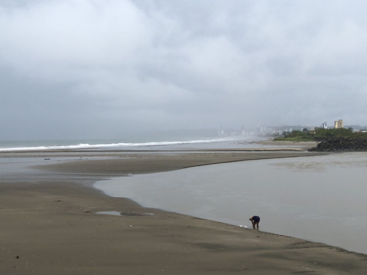 Arquitecto independiente  & Manager