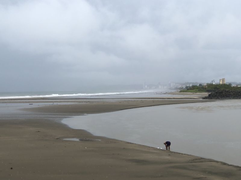 Independent Architect & Manager