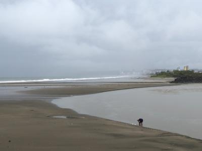 Independent Architect & Manager