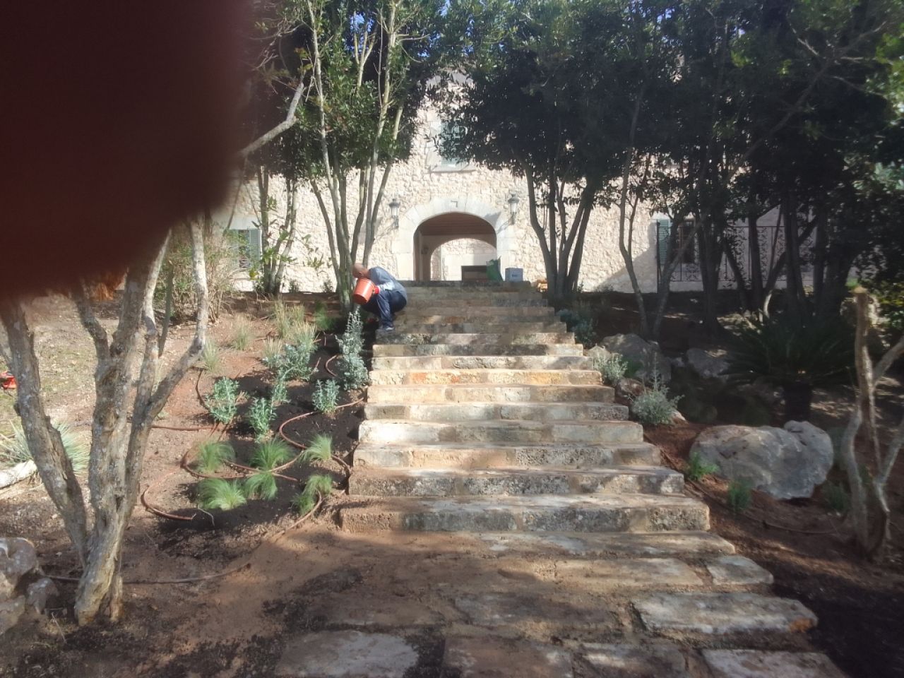 Selbstständiger Gärtner