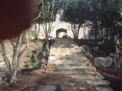 Selbstständiger Gärtner