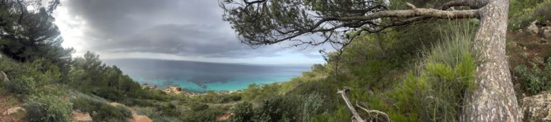 Service Allrounder wanted (m/f/d)