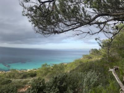 Service Allrounder gesucht (m/w/d)