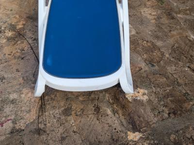 Sonnenliege, blau/weiß