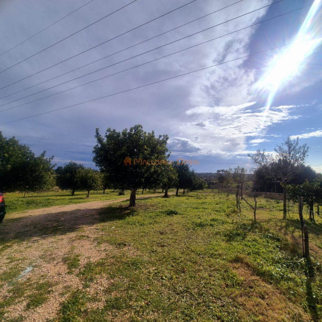 Espectacular casa rústica moderna en colina entre Son Carrió y Porto Cristo