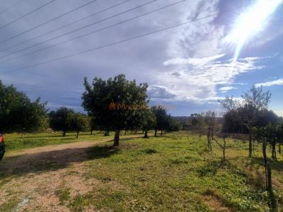 Espectacular casa rústica moderna en colina entre Son Carrió y Porto Cristo