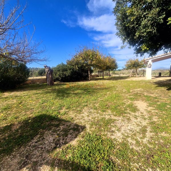 Espectacular casa rústica moderna en colina entre Son Carrió y Porto Cristo