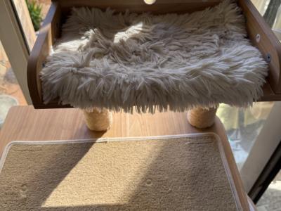 Stabile hölzernes Katzenhaus , 6 Plätze