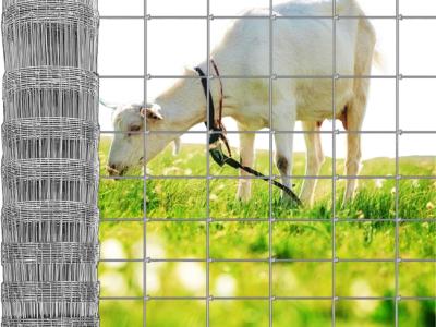 Stabiler Metall Zaun für Viehzucht 25m  Gartenzaun 1 meter hoch