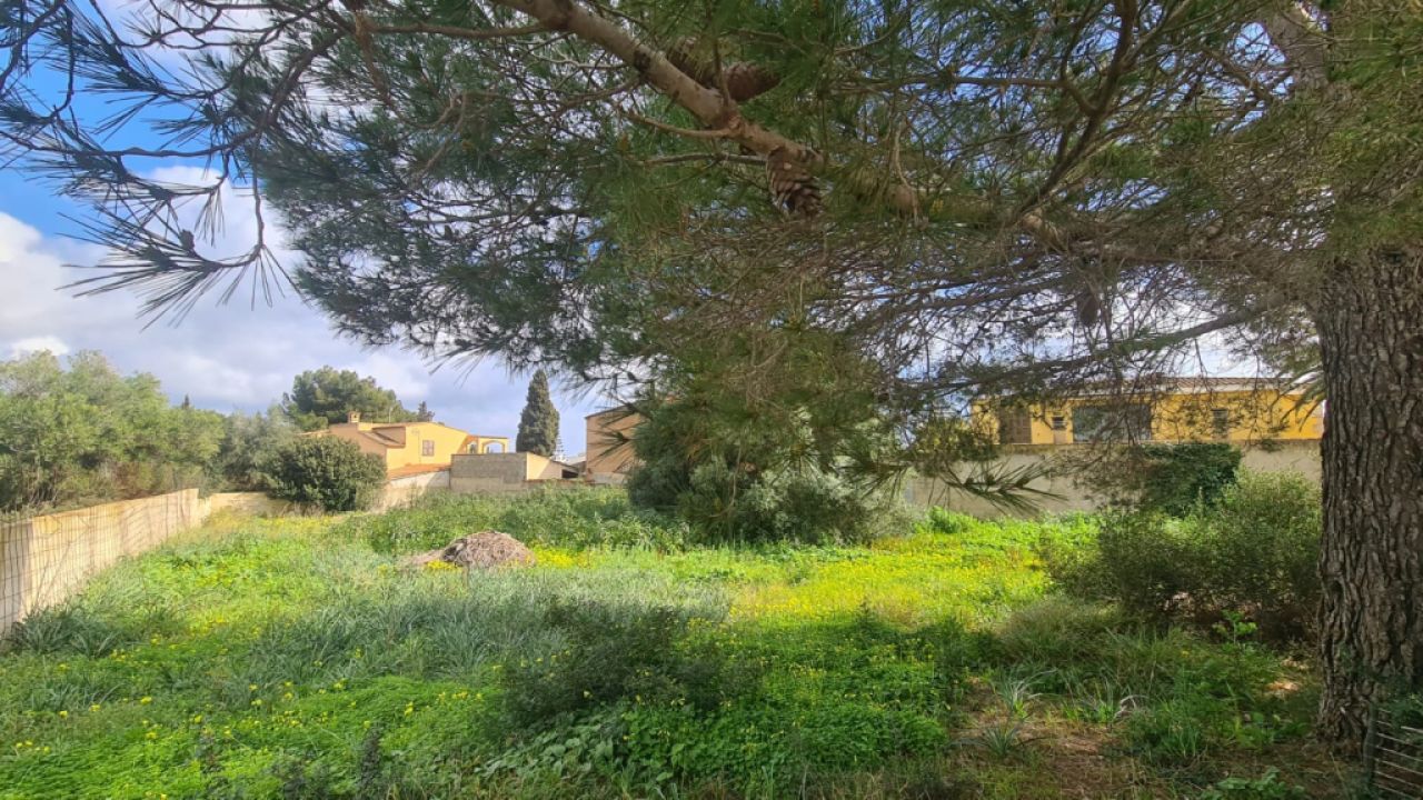 Urban Plot for Sale – Sa Coma 🏡