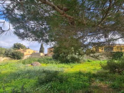 Urban Plot for Sale – Sa Coma 🏡