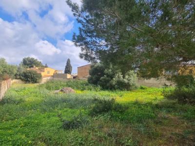 Urban Plot for Sale – Sa Coma 🏡