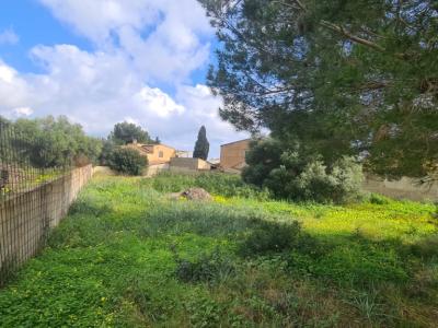 Urban Plot for Sale – Sa Coma 🏡