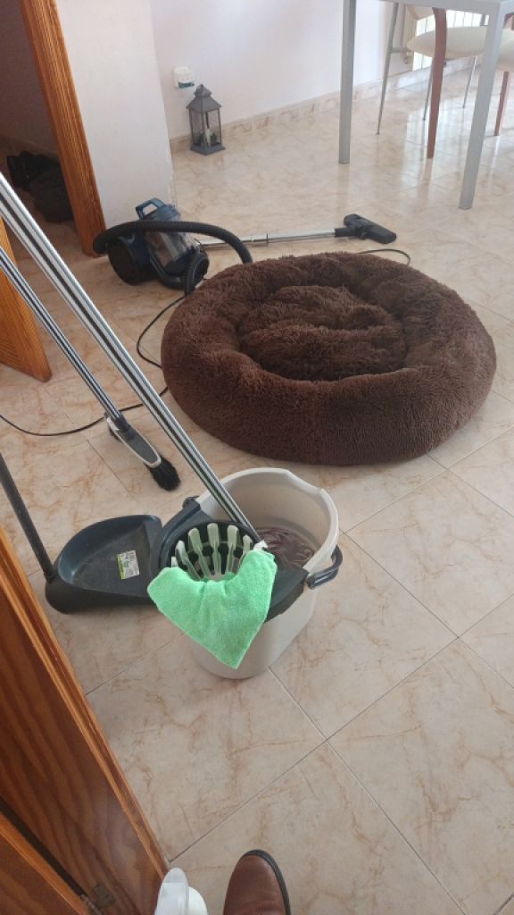 Stundenweise Wohnungsreinigung