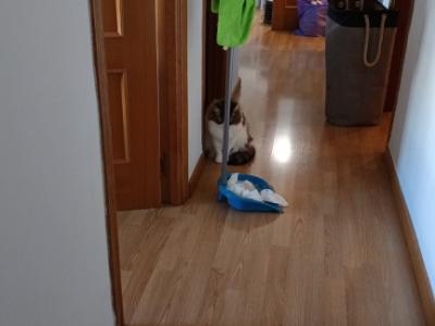 Stundenweise Wohnungsreinigung