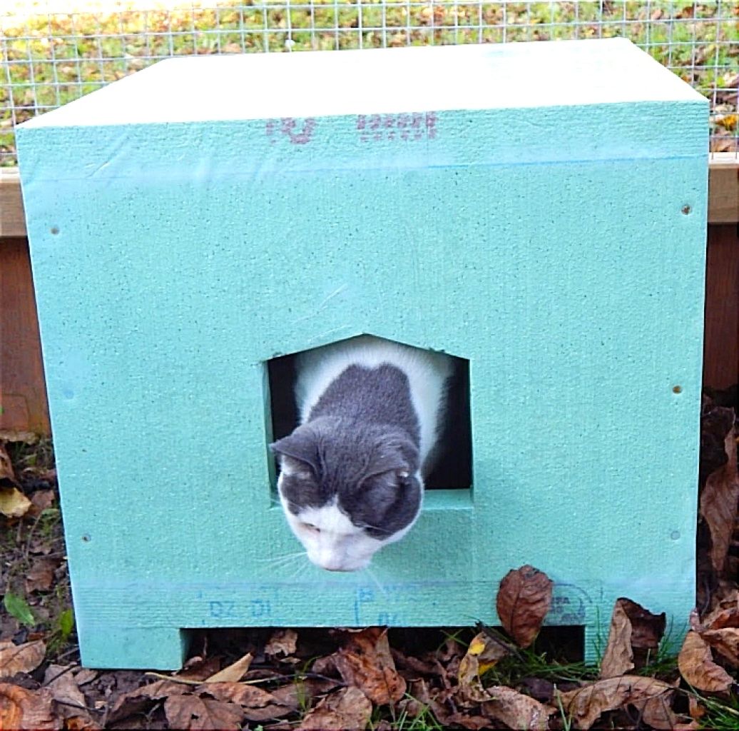 STYROPOR Kisten gesucht